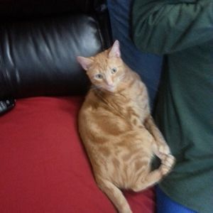 Meet your Posher, Jesse